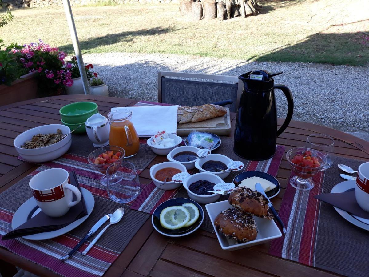 Bed & Breakfast Chez Yvette , C'est Chouette!! Carcassonne